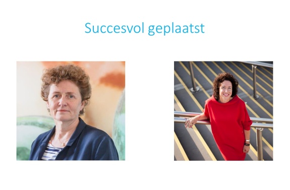 Succesvol geplaatst.jpg