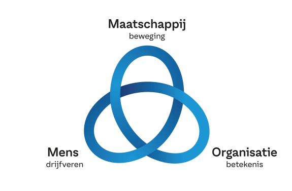 onderwijs horizontaal organsieren
