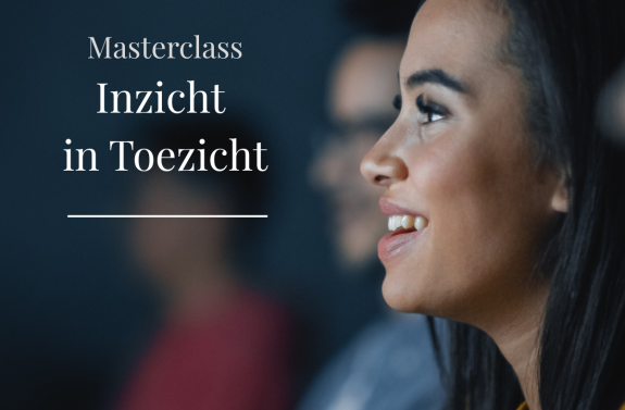 inzicht in toezicht