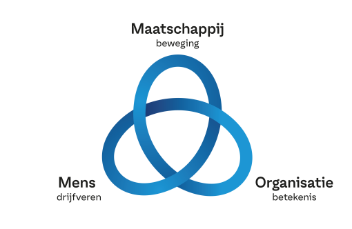 onderwijs horizontaal organsieren