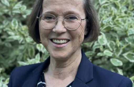 marjo plaatsing